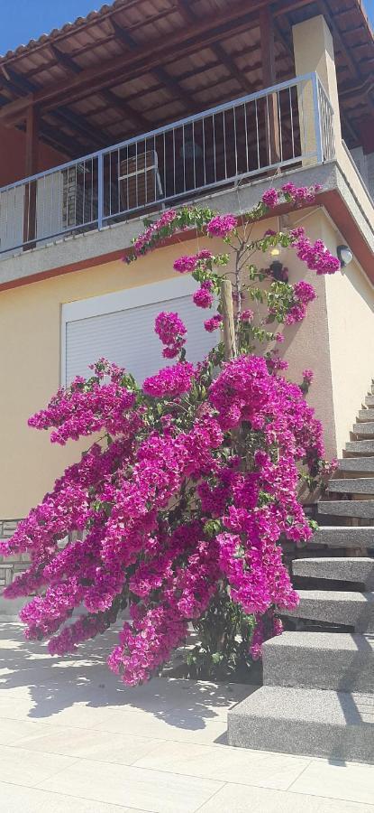 Apartment With Heated Pool, Villa Regina Pula Exterior photo
